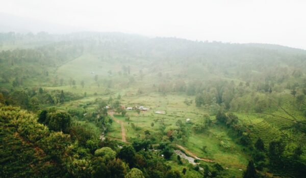 Gambung_1